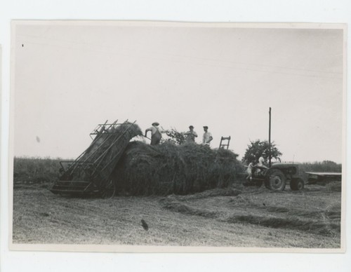 Vintage photo farm - vintage,